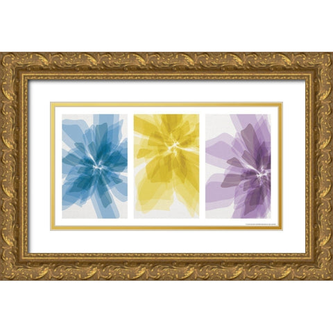 Three X-Ray Flowers Gold Ornate Wood Framed Art Print with Double Matting by Yellow Cafe