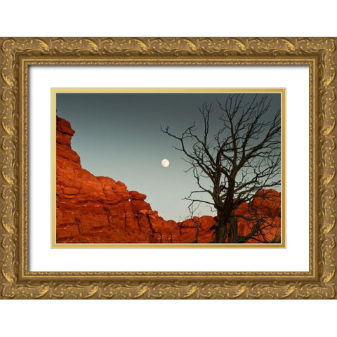 Full Moon Gold Ornate Wood Framed Art Print with Double Matting by Yellow Cafe