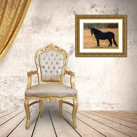 Black Beauty Gold Ornate Wood Framed Art Print with Double Matting by Yellow Cafe