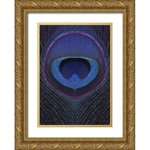 Peacock Feather Portrait Gold Ornate Wood Framed Art Print with Double Matting by Sommers, Mindy