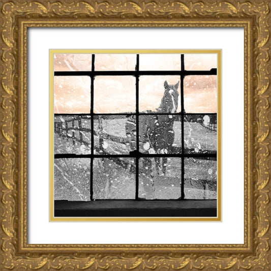 Perspective Image