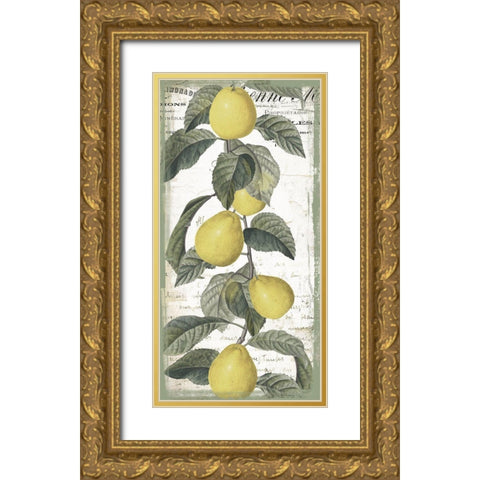 Citron I Gold Ornate Wood Framed Art Print with Double Matting by Sommers, Mindy