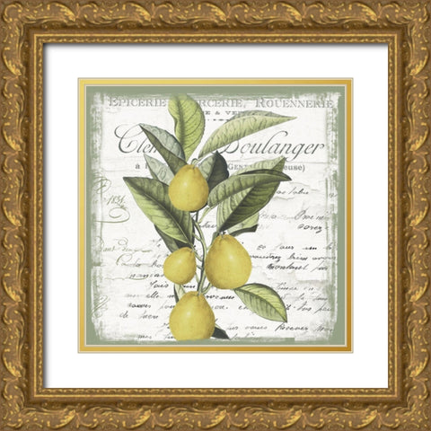 Citron III Gold Ornate Wood Framed Art Print with Double Matting by Sommers, Mindy