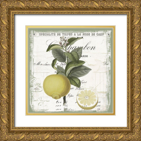 Citron IV Gold Ornate Wood Framed Art Print with Double Matting by Sommers, Mindy