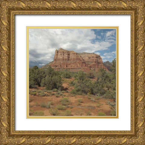 American Southwest Gold Ornate Wood Framed Art Print with Double Matting by Sommers, Mindy