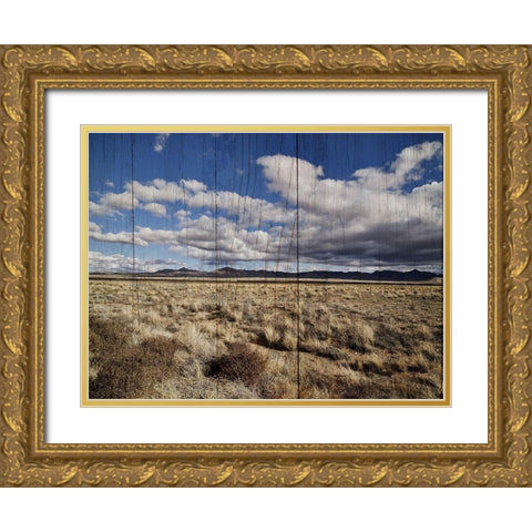 America the Beautiful Gold Ornate Wood Framed Art Print with Double Matting by Sommers, Mindy
