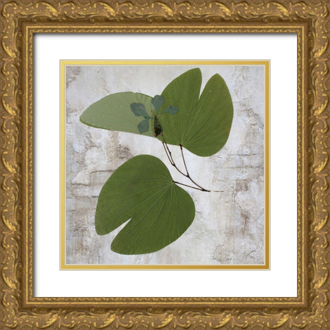 Herbarium Gold Ornate Wood Framed Art Print with Double Matting by Sommers, Mindy