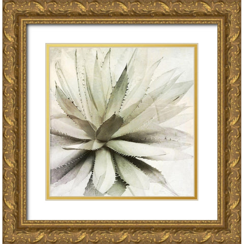 White Agave Gold Ornate Wood Framed Art Print with Double Matting by Sommers, Mindy