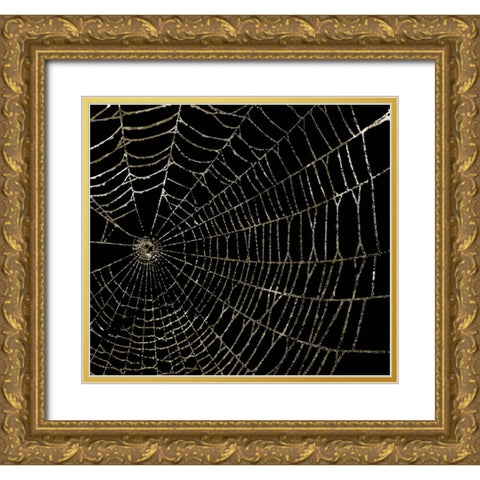 Spider Web Gold Ornate Wood Framed Art Print with Double Matting by Sommers, Mindy