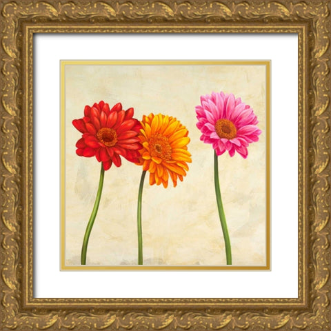 Gerberas Gold Ornate Wood Framed Art Print with Double Matting by Ann, Cynthia