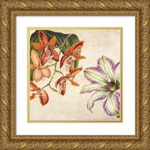Panneau Botanique V Gold Ornate Wood Framed Art Print with Double Matting by Dellal, Remy