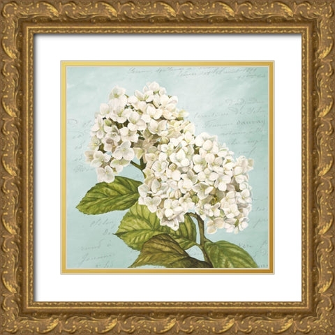 Hydrangeas III (Aqua) Gold Ornate Wood Framed Art Print with Double Matting by Remy, Dellal