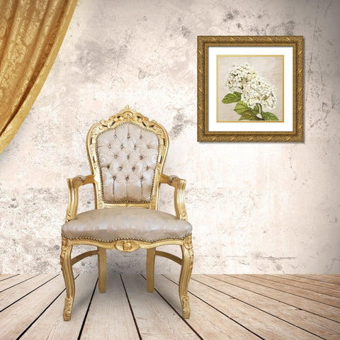 Hydrangeas III (Neutre) Gold Ornate Wood Framed Art Print with Double Matting by Remy, Dellal