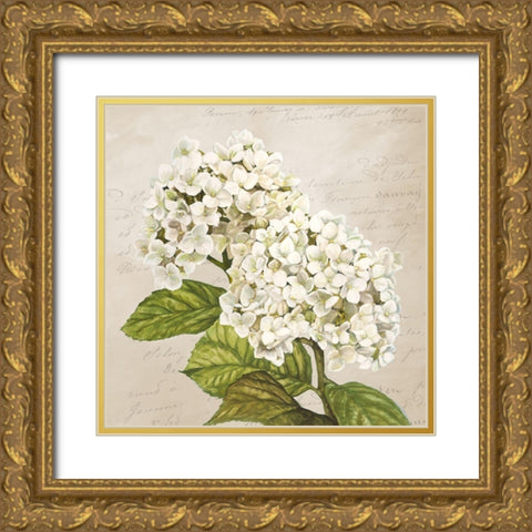 Hydrangeas III (Neutre) Gold Ornate Wood Framed Art Print with Double Matting by Remy, Dellal