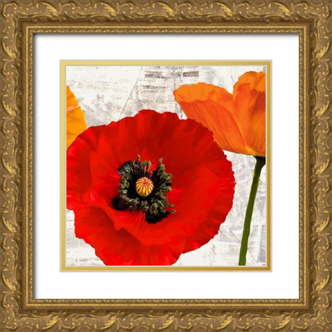 Summer Poppies III Gold Ornate Wood Framed Art Print with Double Matting by Thomlinson, Jenny