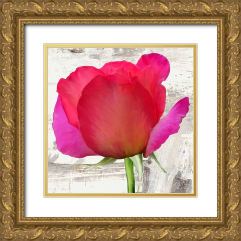 Spring Roses II Gold Ornate Wood Framed Art Print with Double Matting by Thomlinson, Jenny