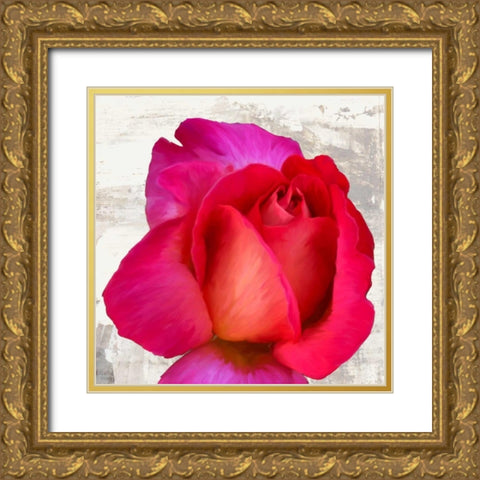 Spring Roses III Gold Ornate Wood Framed Art Print with Double Matting by Thomlinson, Jenny