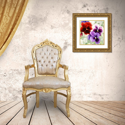 Pansies I Gold Ornate Wood Framed Art Print with Double Matting by Thomlinson, Jenny