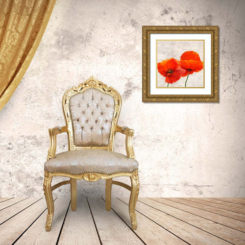 Bright Poppies II Gold Ornate Wood Framed Art Print with Double Matting by Jenny, Thomlinson