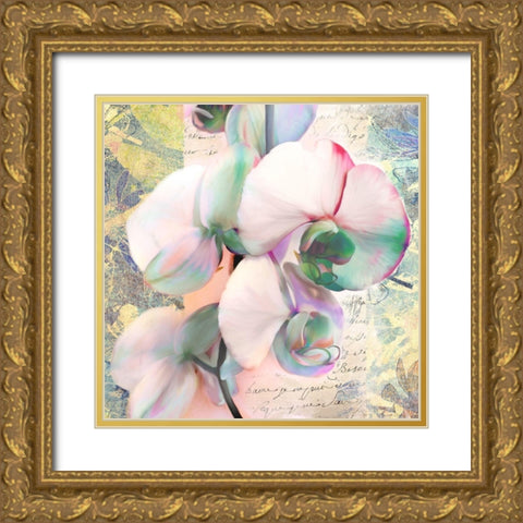 Kaleidoscope Orchid (detail) Gold Ornate Wood Framed Art Print with Double Matting by Kelly, Parr