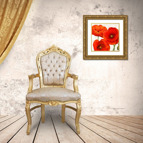Poppies I Gold Ornate Wood Framed Art Print with Double Matting by Villa, Luca