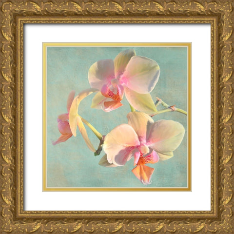 Jewel Orchids I Gold Ornate Wood Framed Art Print with Double Matting by Villa, Luca