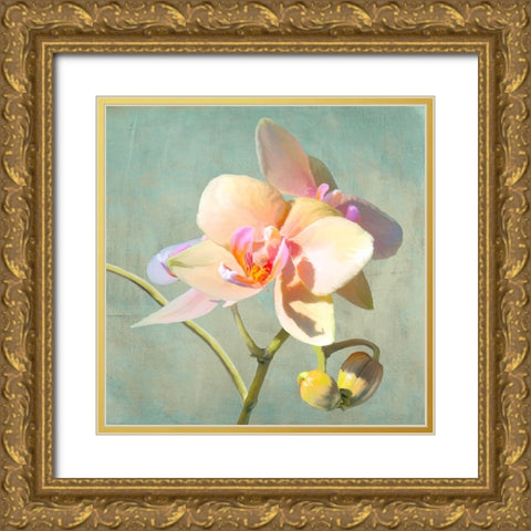 Jewel Orchids II Gold Ornate Wood Framed Art Print with Double Matting by Villa, Luca