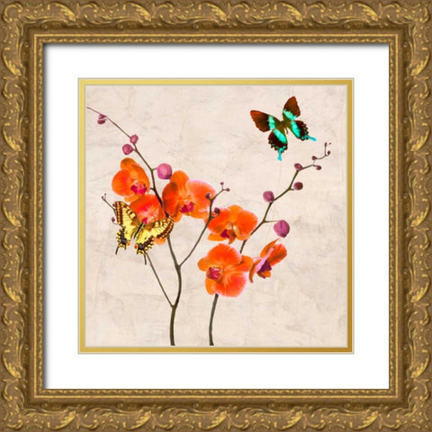 Orchids and Butterflies I Gold Ornate Wood Framed Art Print with Double Matting by Rizzardi, Teo