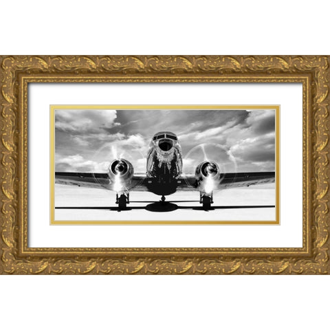 Airplaine taking off Gold Ornate Wood Framed Art Print with Double Matting by Gasoline Images