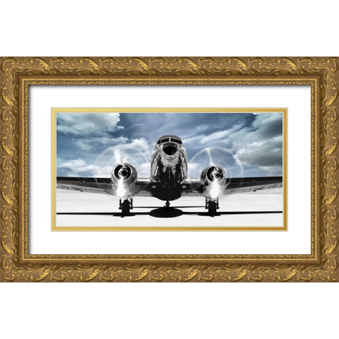 Airplaine taking off in a blue sky Gold Ornate Wood Framed Art Print with Double Matting by Gasoline Images