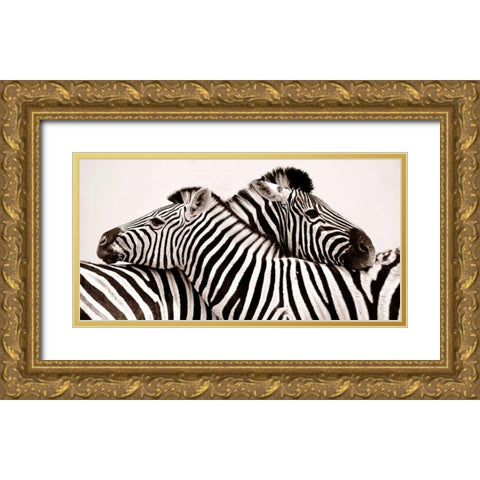 Zebras in love Gold Ornate Wood Framed Art Print with Double Matting by Anonymous