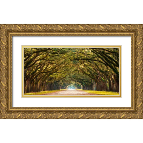 Path lined with oak trees Gold Ornate Wood Framed Art Print with Double Matting by Anonymous