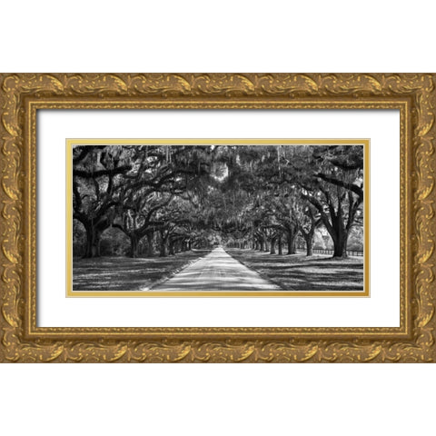 Tree lined plantation entrance, South Carolina Gold Ornate Wood Framed Art Print with Double Matting by Anonymous
