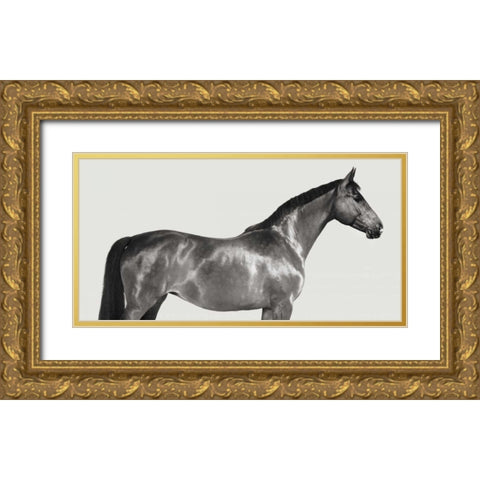 Kingsman Cavalier- English Thoroughbred Gold Ornate Wood Framed Art Print with Double Matting by Pangea Images