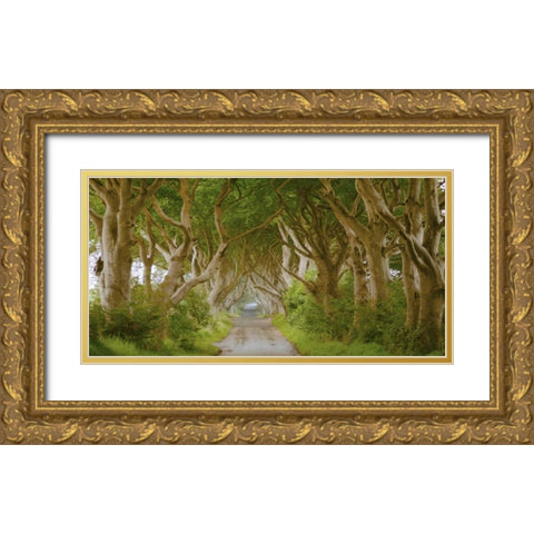 The Dark Hedges, Ireland Gold Ornate Wood Framed Art Print with Double Matting by Pangea Images