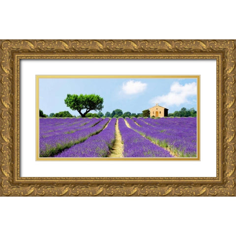 Lavender Fields, France  Gold Ornate Wood Framed Art Print with Double Matting by Pangea Images
