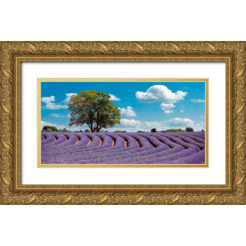 Lavender Field in Provence, France Gold Ornate Wood Framed Art Print with Double Matting by Pangea Images