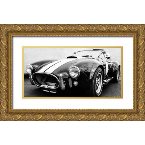 Black Cobra Gold Ornate Wood Framed Art Print with Double Matting by Gasoline Images