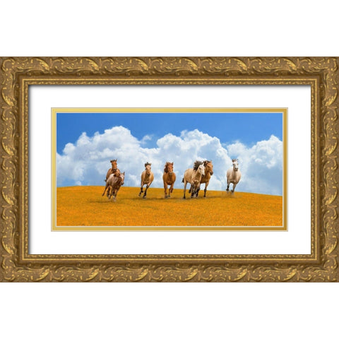 Herd of wild horses Gold Ornate Wood Framed Art Print with Double Matting by Pangea Images
