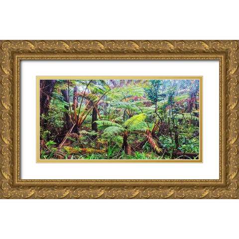 Palm and fern forest, Hawaii (detail) Gold Ornate Wood Framed Art Print with Double Matting by Pangea Images
