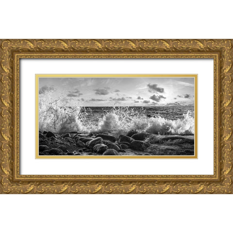 Waves crashing, Point Reyes, California (detail, BW) Gold Ornate Wood Framed Art Print with Double Matting by Pangea Images