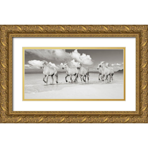 Band of Brothers- Lanikai Beach- Hawaii (BW) Gold Ornate Wood Framed Art Print with Double Matting by Pangea Images