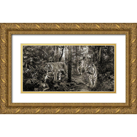 Bengal Tigers (detail- BW) Gold Ornate Wood Framed Art Print with Double Matting by Pangea Images
