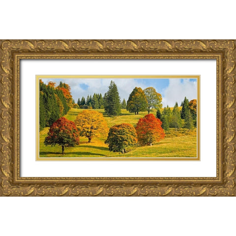 Autumn in Quebec Gold Ornate Wood Framed Art Print with Double Matting by Pangea Images