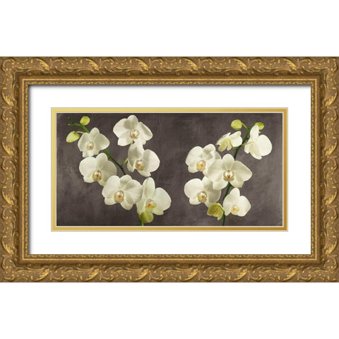 Orchids on Grey Background Gold Ornate Wood Framed Art Print with Double Matting by Antinori, Andrea