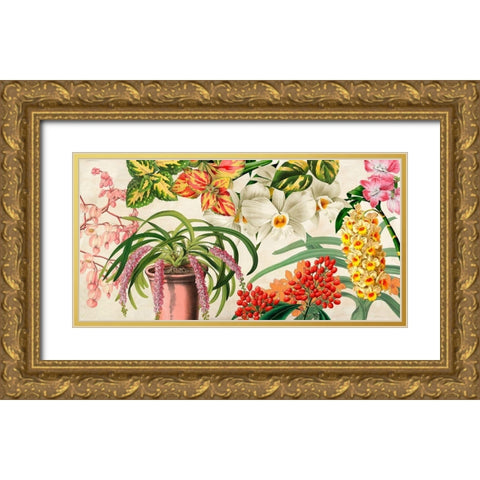 Panneau Botanique IV Gold Ornate Wood Framed Art Print with Double Matting by Dellal, Remy