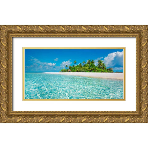 Palm island, Maldives Gold Ornate Wood Framed Art Print with Double Matting by Krahmer, Frank