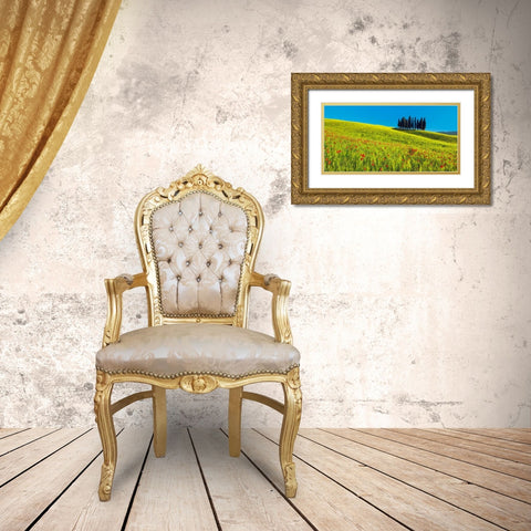 Cypress and corn field, Tuscany, Italy Gold Ornate Wood Framed Art Print with Double Matting by Krahmer, Frank