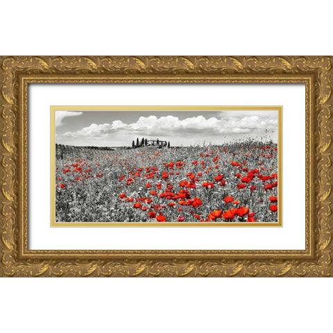 Farm house with cypresses and poppies, Tuscany, Italy Gold Ornate Wood Framed Art Print with Double Matting by Krahmer, Frank