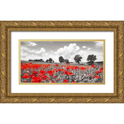 Poppies and vicias in meadow, Mecklenburg Lake District, Germany Gold Ornate Wood Framed Art Print with Double Matting by Krahmer, Frank